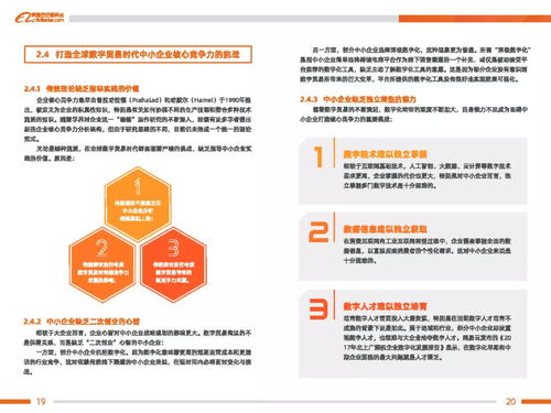 中国中小企业跨境电商白皮书 阿里巴巴 附下载