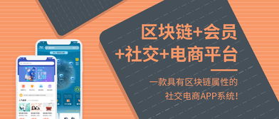 互融云 区块链会员社交电商平台系统 一款具有区块链属性的社交电商