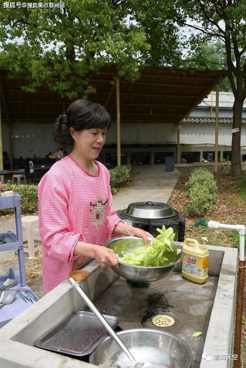 官网 桐乡乌镇绿城乌镇兰园 官方公众平台 桐乡乌镇绿城乌镇兰园售楼处电话